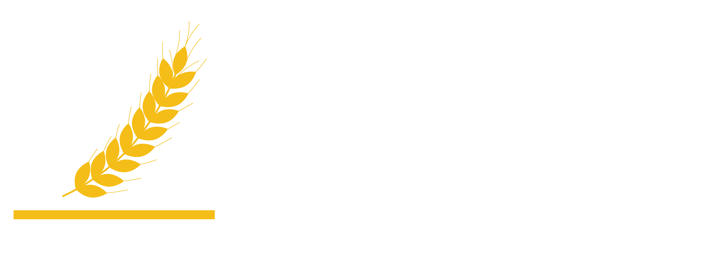 Site Logo Dark