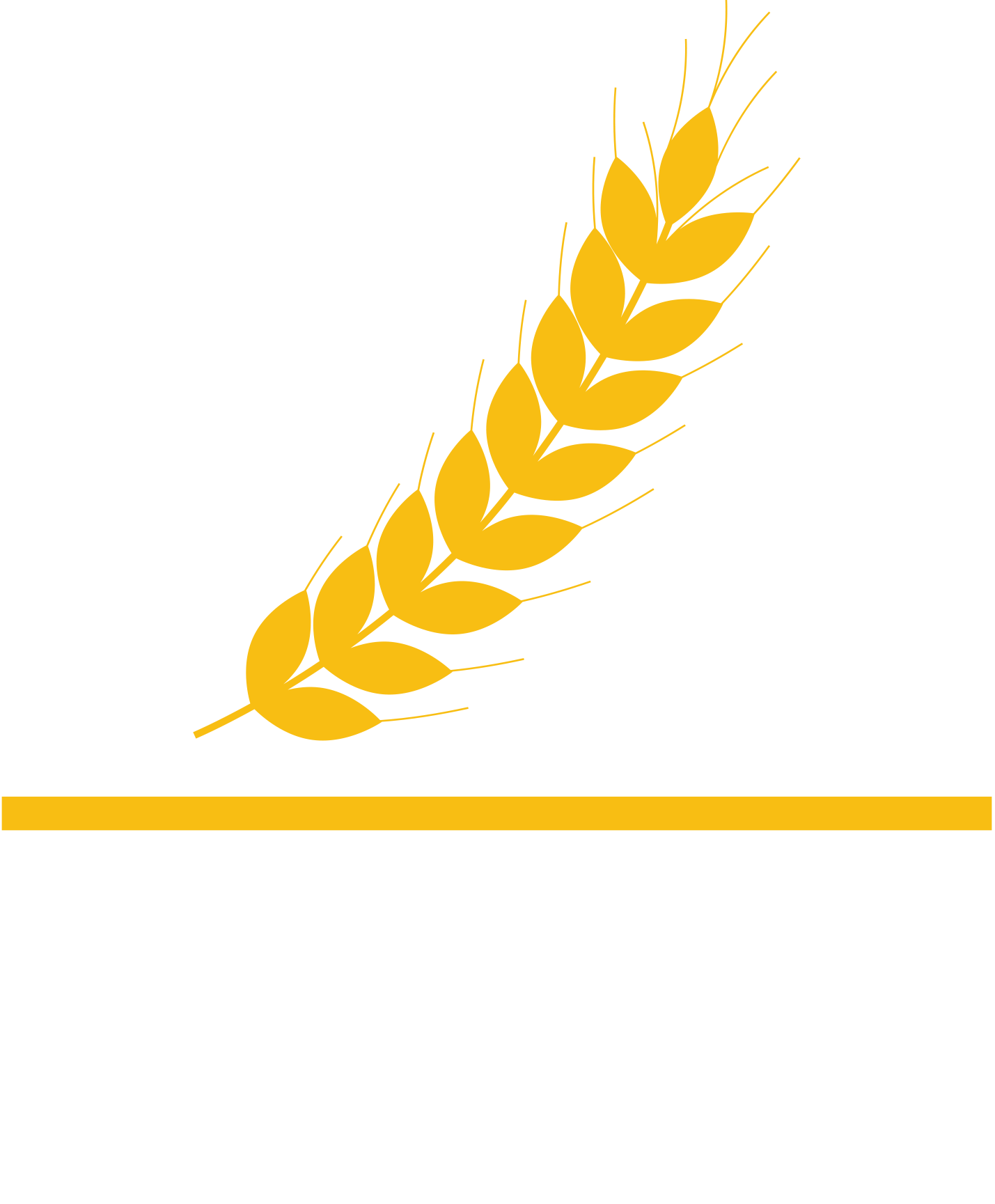 Site Logo White