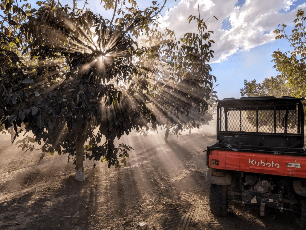 Harvest 2024